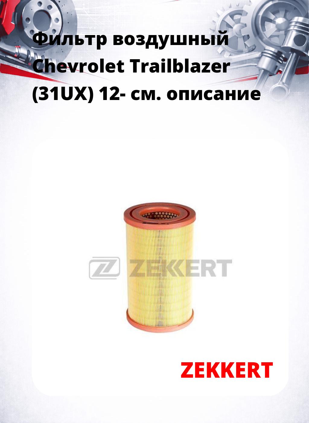 Фильтр воздушный  Chevrolet Trailblazer (31UX) 12-